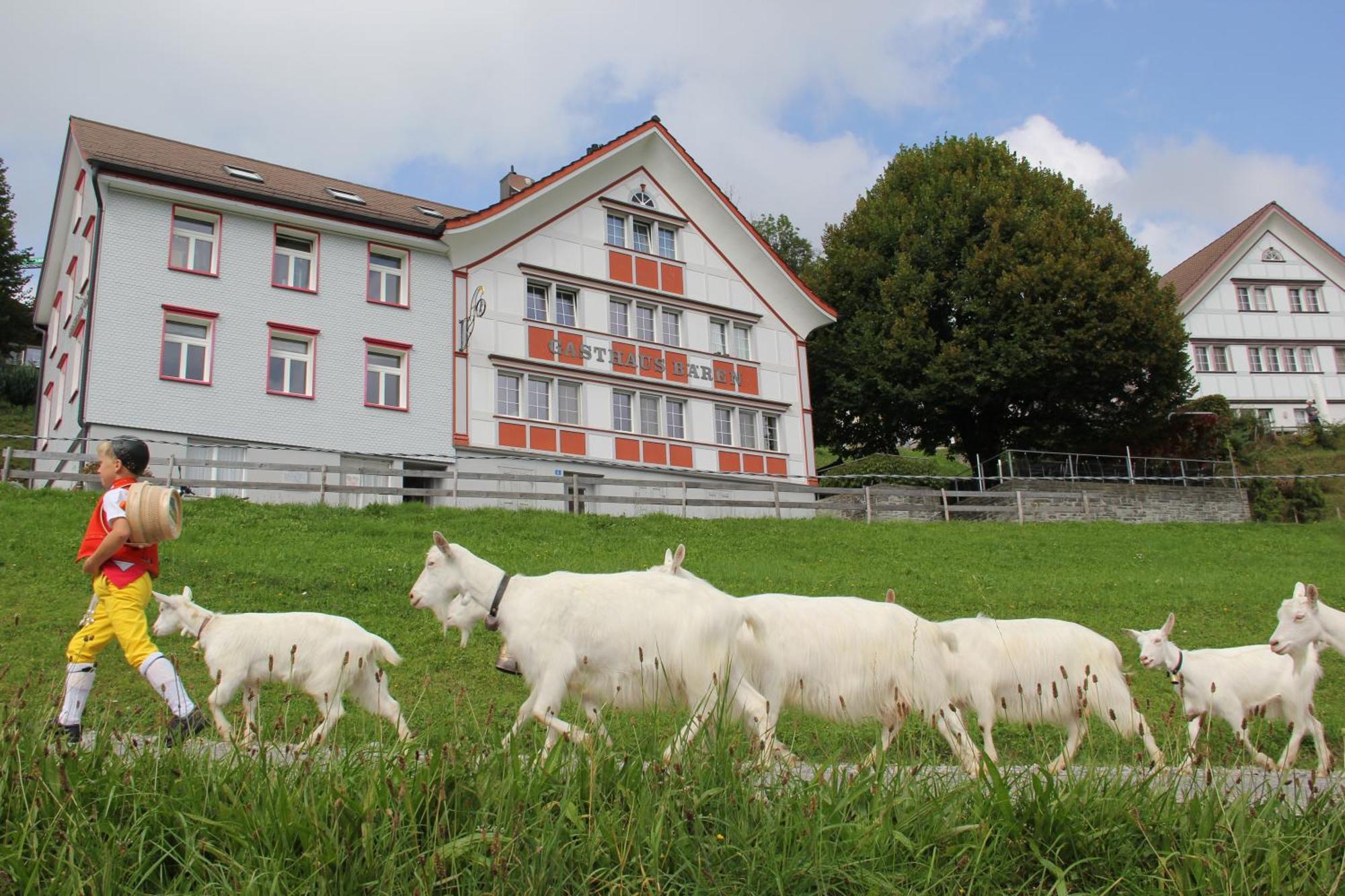 Gasthaus Baeren Schlatt 아펜첼 외부 사진